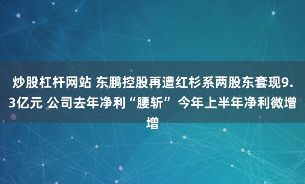 炒股杠杆网站 东鹏控股再遭红杉系两股东套现9.3亿元 公司去年净利“腰斩” 今年上半年净利微增